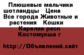 Плюшевые мальчики шотландцы › Цена ­ 500 - Все города Животные и растения » Кошки   . Карелия респ.,Костомукша г.